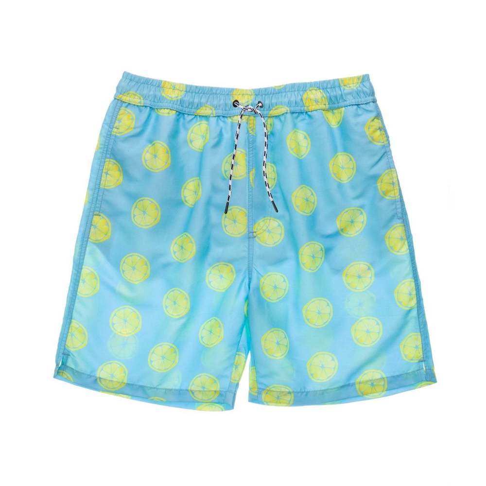 Mens Lemon Slice Volley Boardies